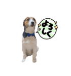 ARTS君（個別スタンプ：14）