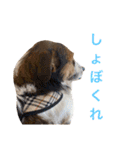 ARTS君（個別スタンプ：15）