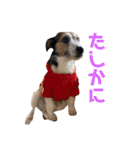ARTS君（個別スタンプ：22）