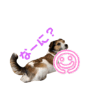 ARTS君（個別スタンプ：23）