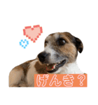 ARTS君（個別スタンプ：30）