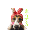 ARTS君（個別スタンプ：31）