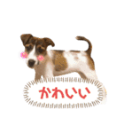 ARTS君（個別スタンプ：32）