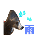 ARTS君（個別スタンプ：34）