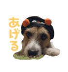 ARTS君（個別スタンプ：39）