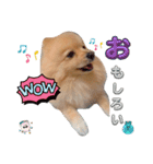 はる あかさたな①（個別スタンプ：5）