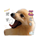 はる あかさたな①（個別スタンプ：10）