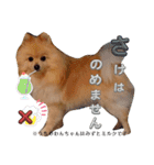 はる あかさたな①（個別スタンプ：11）