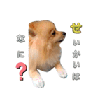 はる あかさたな①（個別スタンプ：14）