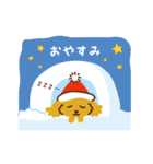 トイプードル_ クリスマス＆新年編（個別スタンプ：8）