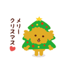 トイプードル_ クリスマス＆新年編（個別スタンプ：13）