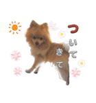 はる あかさたな②（個別スタンプ：3）