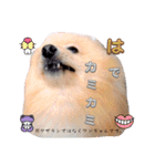 はる あかさたな②（個別スタンプ：11）