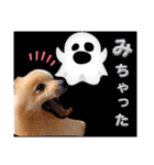 はる あかさたな②（個別スタンプ：17）