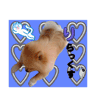 はる あかさたな②（個別スタンプ：25）