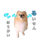 はる あかさたな②（個別スタンプ：26）