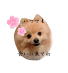 はる あかさたな②（個別スタンプ：30）