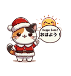 クリスマス三毛猫のもふもふスタンプ！（個別スタンプ：1）