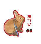 ここぽぽとと（個別スタンプ：18）
