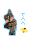 ここぽぽとと（個別スタンプ：20）