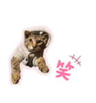 ここぽぽとと（個別スタンプ：32）