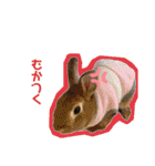 ここぽぽとと（個別スタンプ：33）