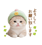 メロン帽が可愛い スコティッシュ猫2 敬語（個別スタンプ：8）