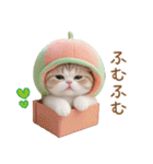 メロン帽が可愛い スコティッシュ猫2 敬語（個別スタンプ：17）