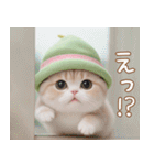 メロン帽が可愛い スコティッシュ猫2 敬語（個別スタンプ：19）