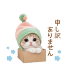 メロン帽が可愛い スコティッシュ猫2 敬語（個別スタンプ：21）