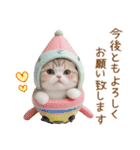 メロン帽が可愛い スコティッシュ猫2 敬語（個別スタンプ：30）