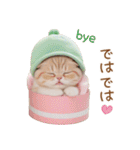 メロン帽が可愛い スコティッシュ猫2 敬語（個別スタンプ：32）