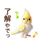 関西弁やで♡羊毛オカメインコの日常連絡（個別スタンプ：1）