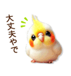 関西弁やで♡羊毛オカメインコの日常連絡（個別スタンプ：6）