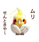 関西弁やで♡羊毛オカメインコの日常連絡（個別スタンプ：32）