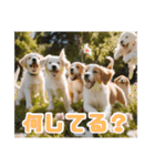 リアル毎日使える☆子犬と友達スタンプ（個別スタンプ：13）