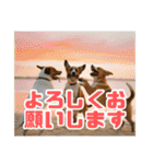 リアル毎日使える☆子犬と友達スタンプ（個別スタンプ：22）