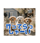 リアル毎日使える☆子犬と友達スタンプ（個別スタンプ：36）