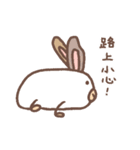 クマちゃんの落書き（個別スタンプ：40）