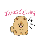 いろんな犬のデカ文字☆pocaママ（個別スタンプ：1）