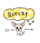 いろんな犬のデカ文字☆pocaママ（個別スタンプ：8）