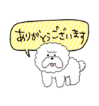 いろんな犬のデカ文字☆pocaママ（個別スタンプ：12）