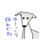 いろんな犬のデカ文字☆pocaママ（個別スタンプ：21）