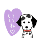 いろんな犬のデカ文字☆pocaママ（個別スタンプ：27）