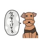 いろんな犬のデカ文字☆pocaママ（個別スタンプ：28）