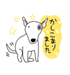 いろんな犬のデカ文字☆pocaママ（個別スタンプ：29）