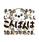 シーズー犬 2024『文字だらけで励ます』（個別スタンプ：5）