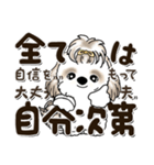 シーズー犬 2024『文字だらけで励ます』（個別スタンプ：8）