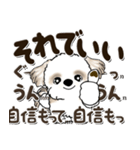 シーズー犬 2024『文字だらけで励ます』（個別スタンプ：11）