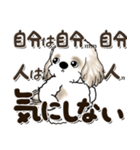 シーズー犬 2024『文字だらけで励ます』（個別スタンプ：16）